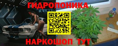дживик Обь